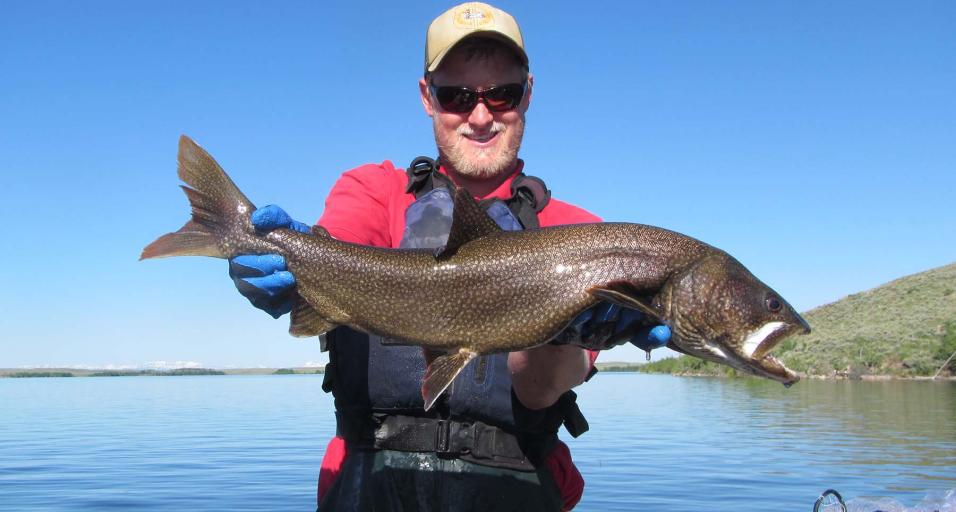 Game & Fish Samples Pinedale Lakes Wyoming Game & Fish Department
